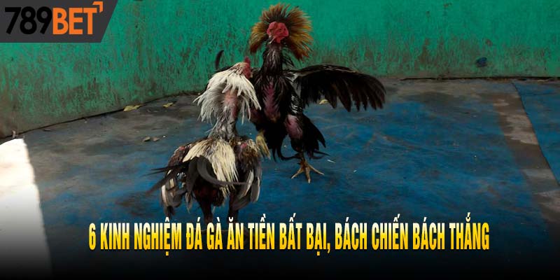 Cẩm Nang Chơi Đá Gà Ăn Tiền Chỉ Thắng Không Thua