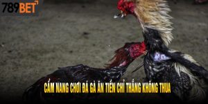 Cẩm Nang Chơi Đá Gà Ăn Tiền Chỉ Thắng Không Thua