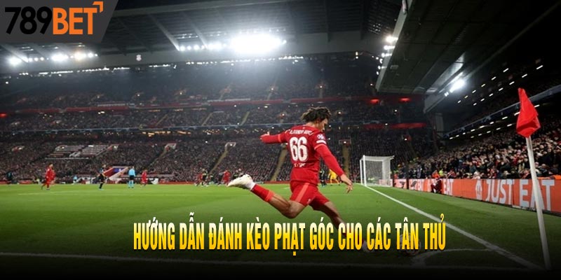 Hướng Dẫn Đánh Kèo Phạt Góc Dành Cho Các Tân Thủ