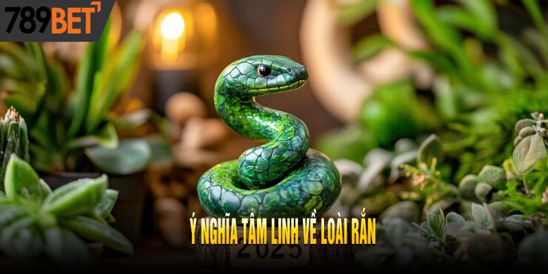 Nằm mơ thấy rắn: Điềm báo tâm linh may mắn mới nhất 2025